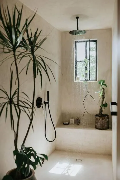 דירה טולום Piece-Of-Art-Loft Between Jungle Trees