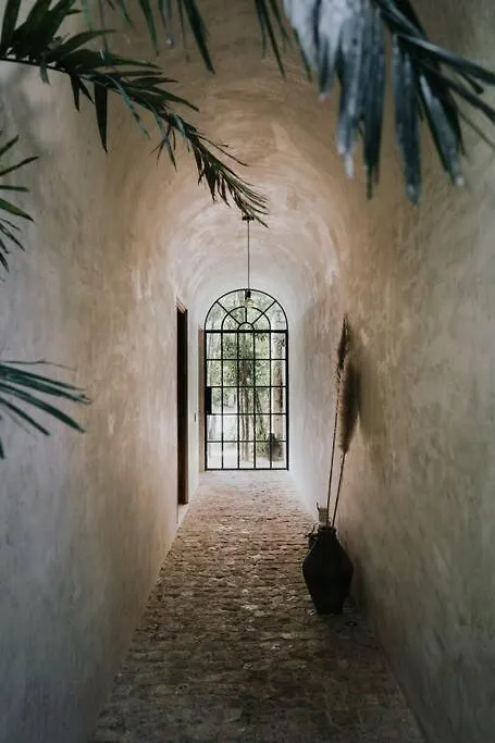 טולום Piece-Of-Art-Loft Between Jungle Trees