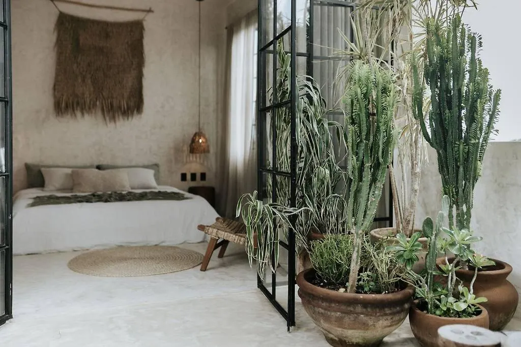 טולום Piece-Of-Art-Loft Between Jungle Trees 0*,  מקסיקו